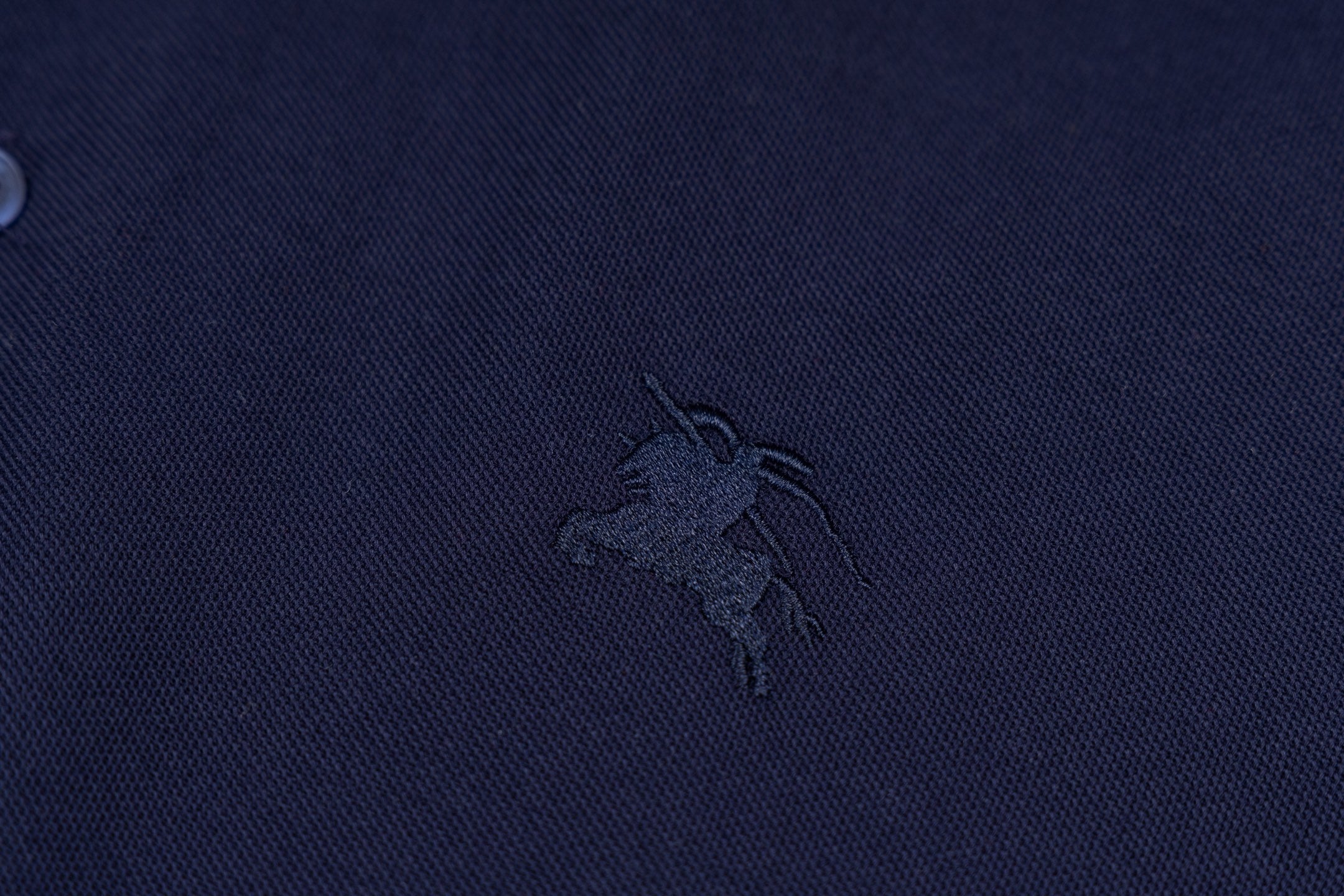 Burberry Polo